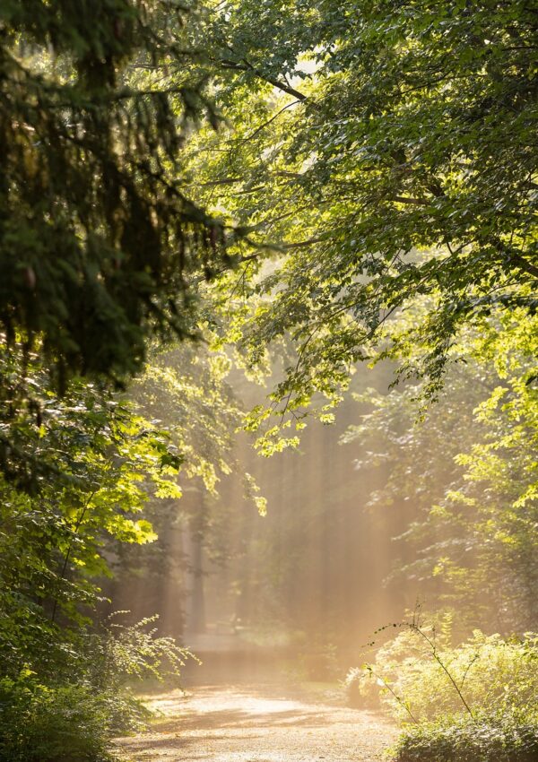 100 Earthy Baby Girl Name Ideas Inspired by Nature