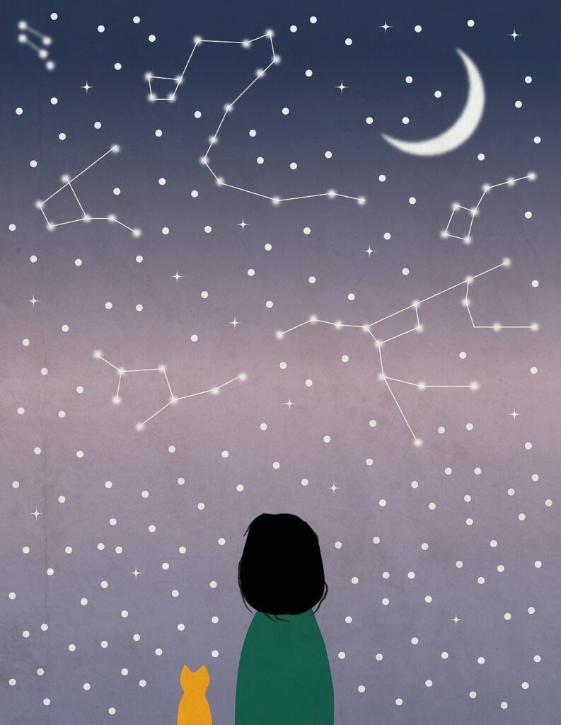 Woman with cat looking at stars in night sky