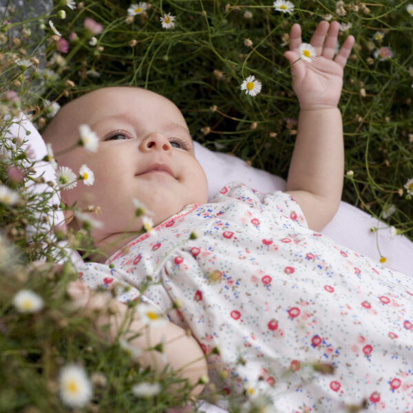 Baby girl or toddler lying in a meadow of flowers